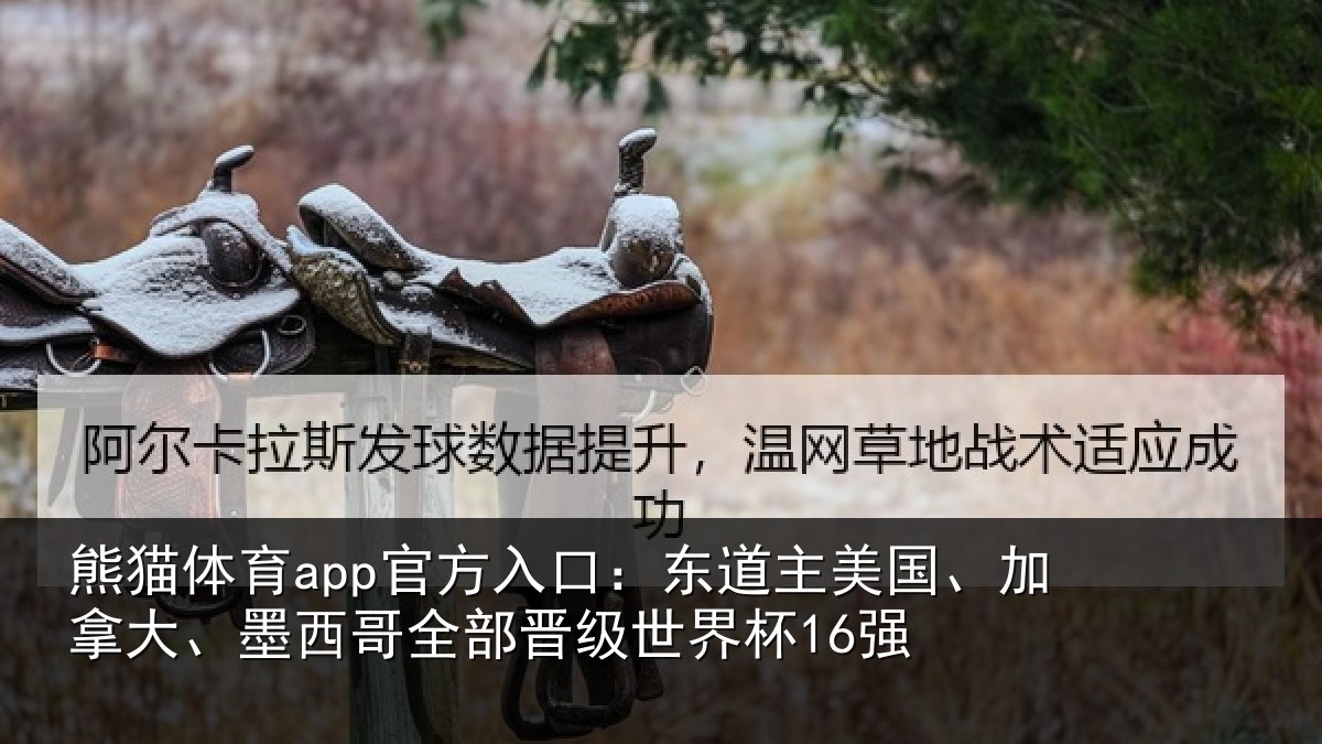 熊猫体育app官方入口:东道主美国、加拿大、墨西哥全部晋级世界杯16强
