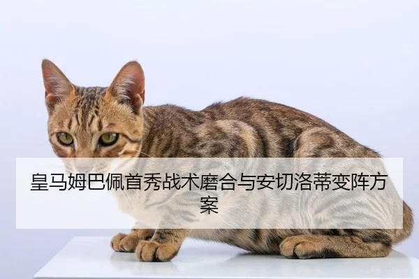 皇马姆巴佩首秀战术磨合与安切洛蒂变阵方案